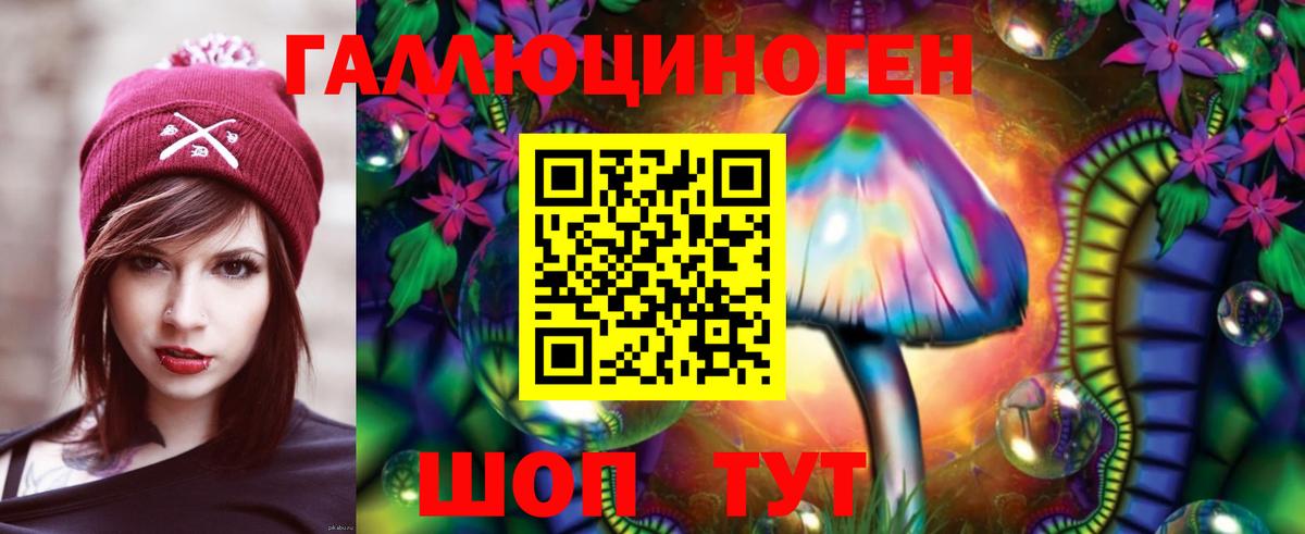Галлюциногенные грибы мухоморы Минусинск